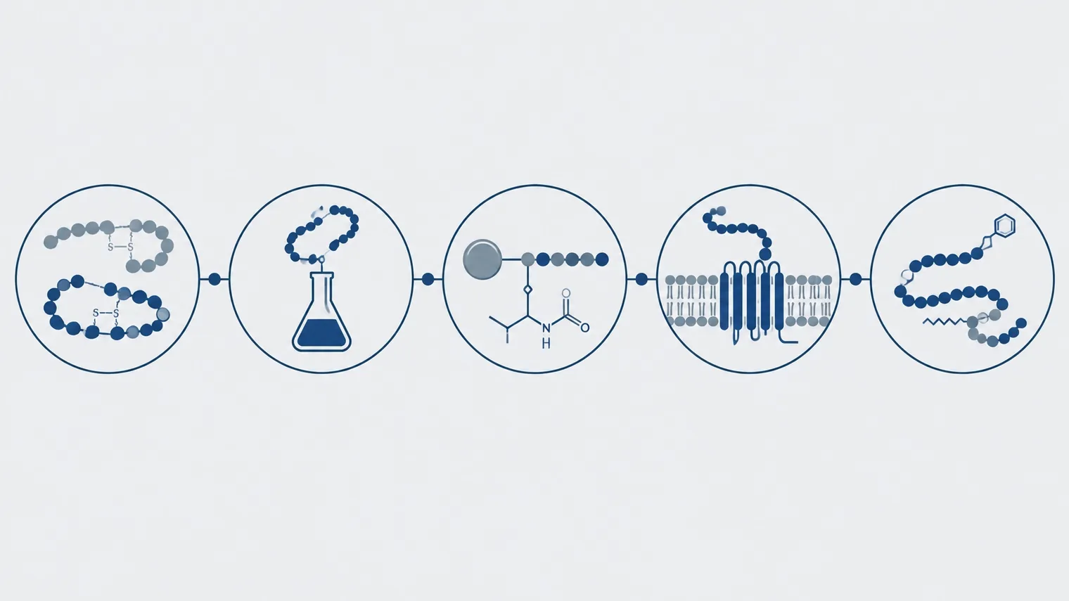 Linha do tempo vetorial da pesquisa biomédica com peptídeos, da insulina aos análogos de GLP-1