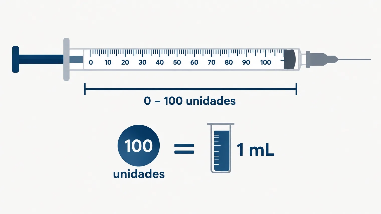 Esquema visual de uma seringa U-100 com 100 unidades correspondendo a 1 mL