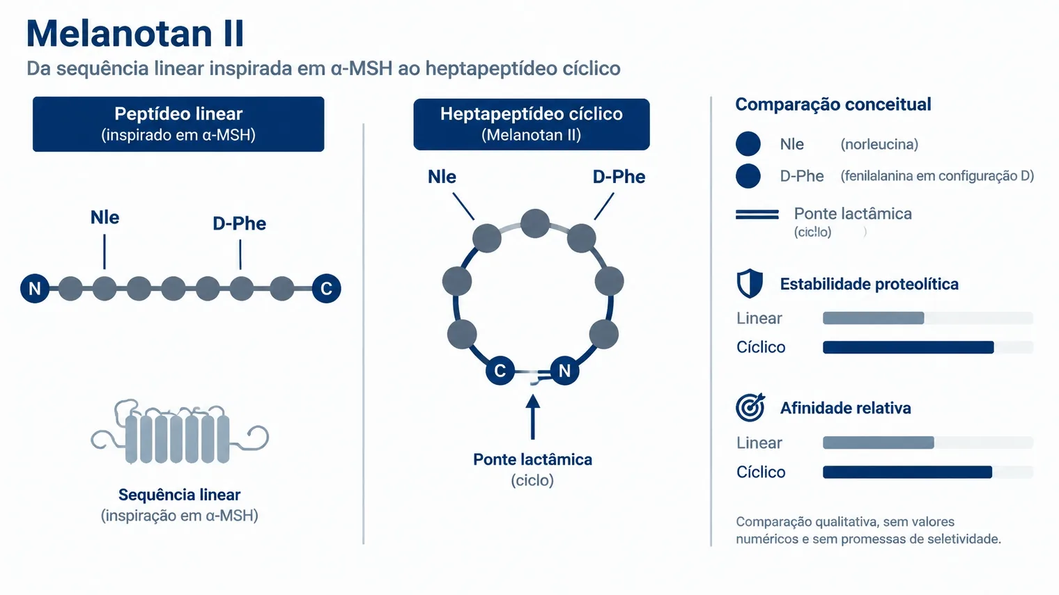 Comparação esquemática entre uma cadeia peptídica linear e a estrutura cíclica do Melanotan II
